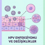 Kadınlarda HPV (Human Papillomavirus): Belirtiler, Testler, Tip 16, Rahim Ağzı Kanseri Riski ve HPV Aşısı