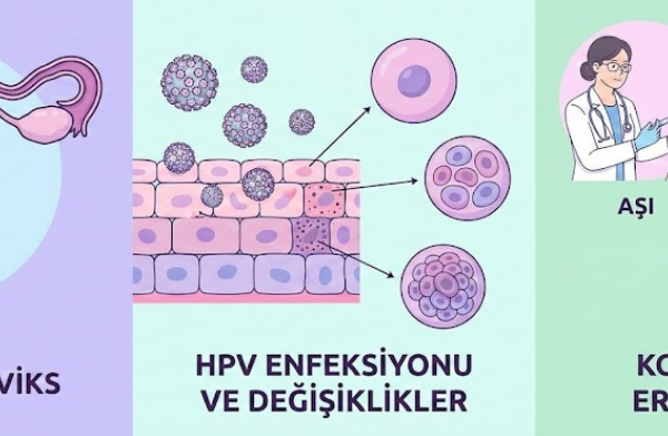 HPV-Doc.Dr.Sema Karakaş-Jinekolog onkolog
